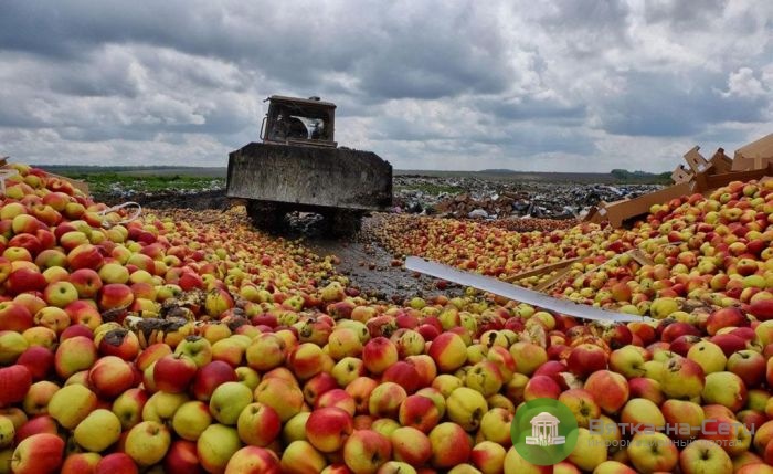 Это позорище: сеть возмутило дикое уничтожение "санкционки" в России