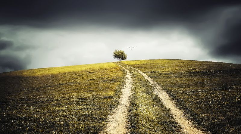 Другой земли у нас нет и не будет