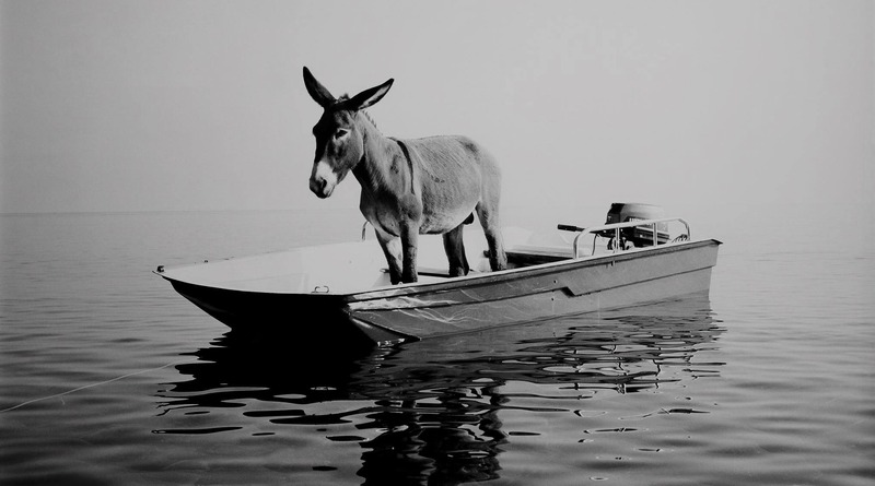 Дохозяйничались, клованы