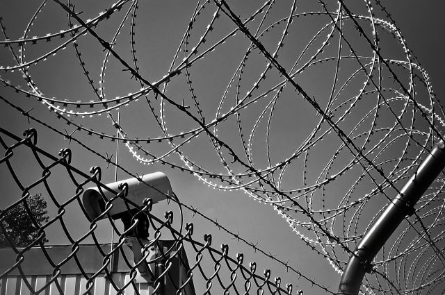 Школы в Мурманской области планируют обнести колючей проволокой