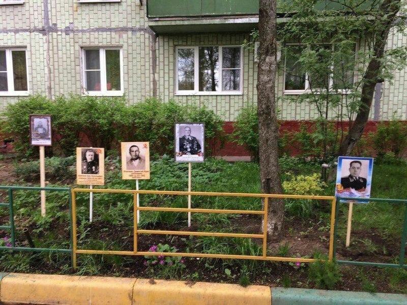 Акция «Закопай деда в палисаднике»