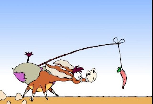 Не в осла корм