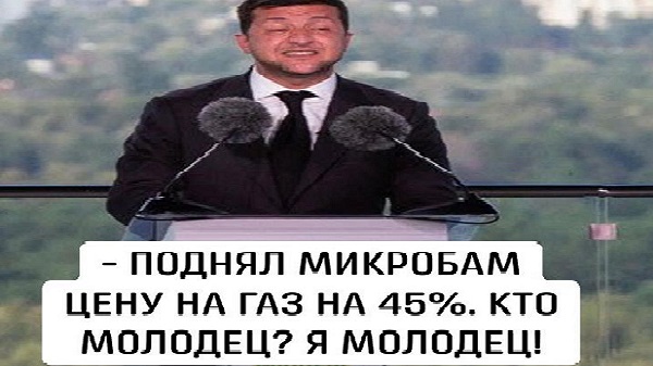 Елена Лукаш: от сельского креатива Зеленского меня тошнит. ВИДЕО