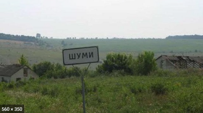 По поводу неудавшегося "совместного инспектирования" (тезисно и кратко)