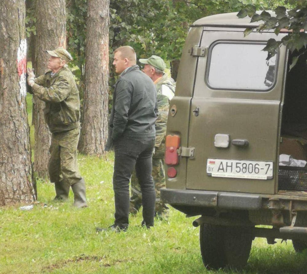 В Минске на месте массовых расстрелов срезают с деревьев кору, покрашенную в цвета национального флага