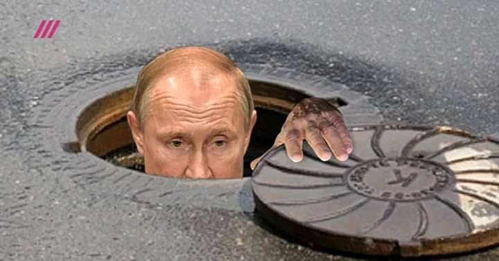 "Царь жив"? Что не так с Владимиром Путиным