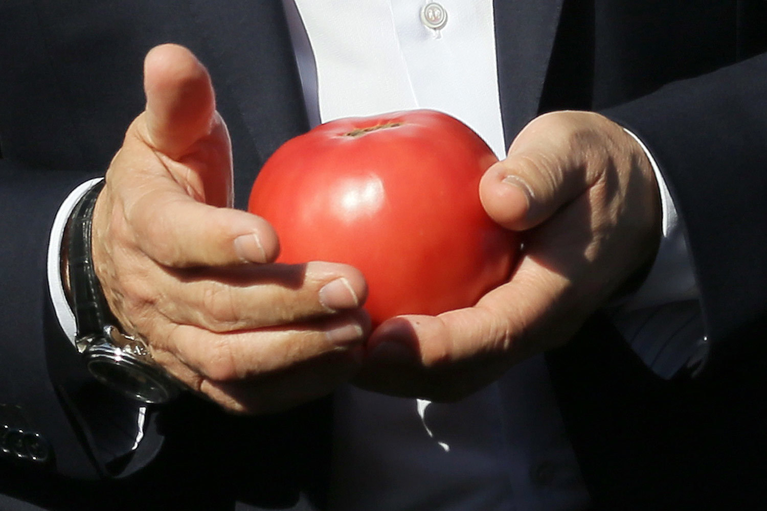 ПОЗДНО ЗАКУПАТЬ ПРОДУКТЫ