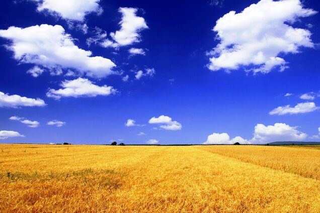 Многие хотели бы забыть о существовании Украины