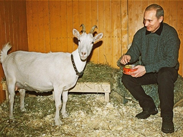 Путин — идеальный козёл отпущения