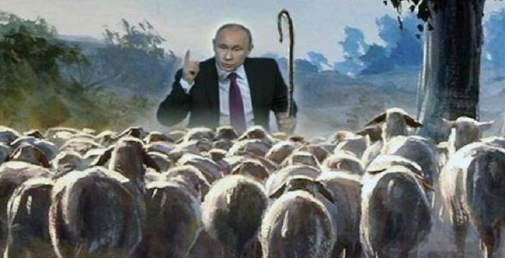 Горе побежденным... даже баранам