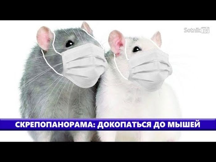 СКРЕПОПАНОРАМА: ДОКОПАТЬСЯ ДО МЫШЕЙ