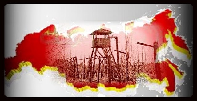 В зоне особенного внимания (Часть 1)