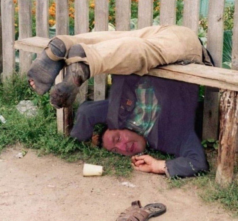 Крадут и пропивают