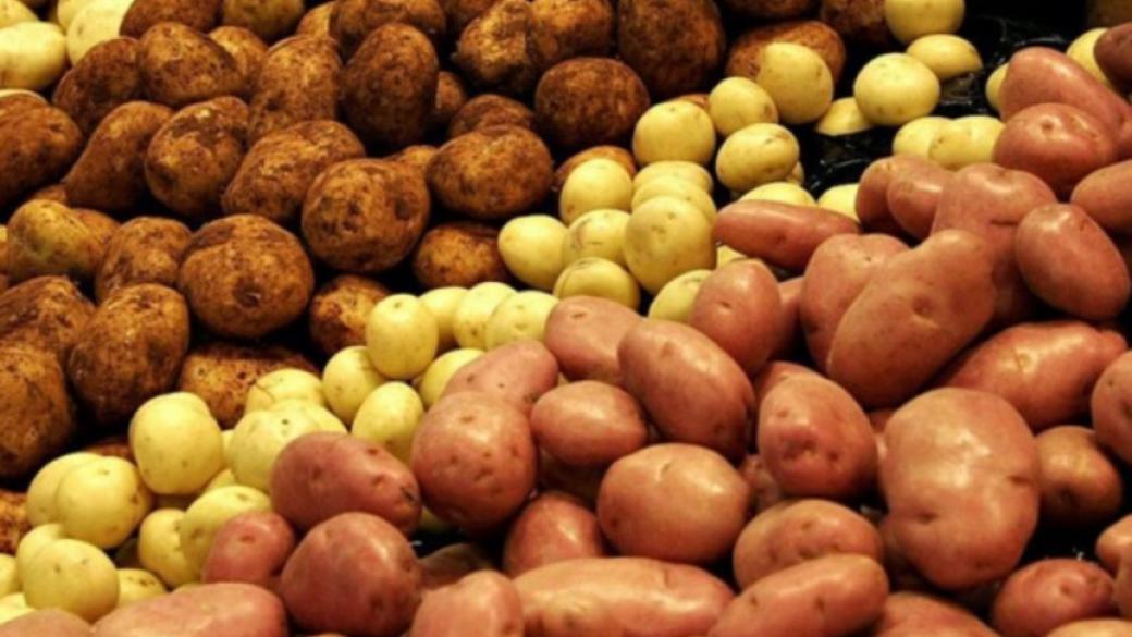 В ДНР утверждают, что цену на картошку взвинтили по команде «фас» из Киева
