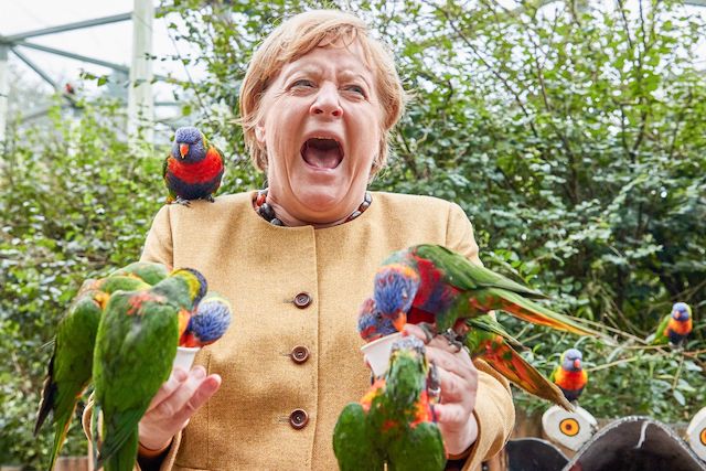 Дуба дал – лежи спокойно