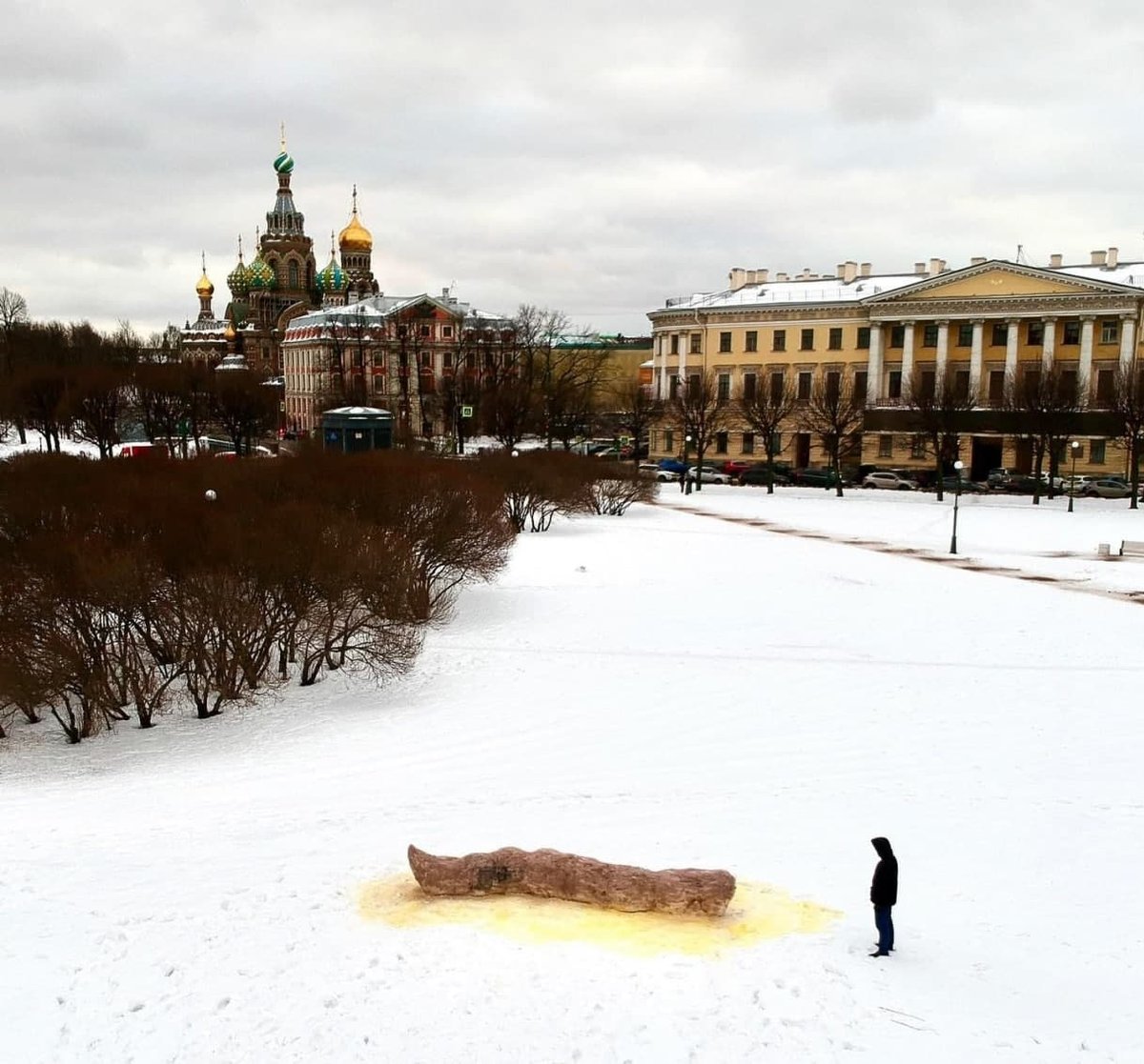 В России художник создал инсталляцию в виде 5-метровой фекалии: фото