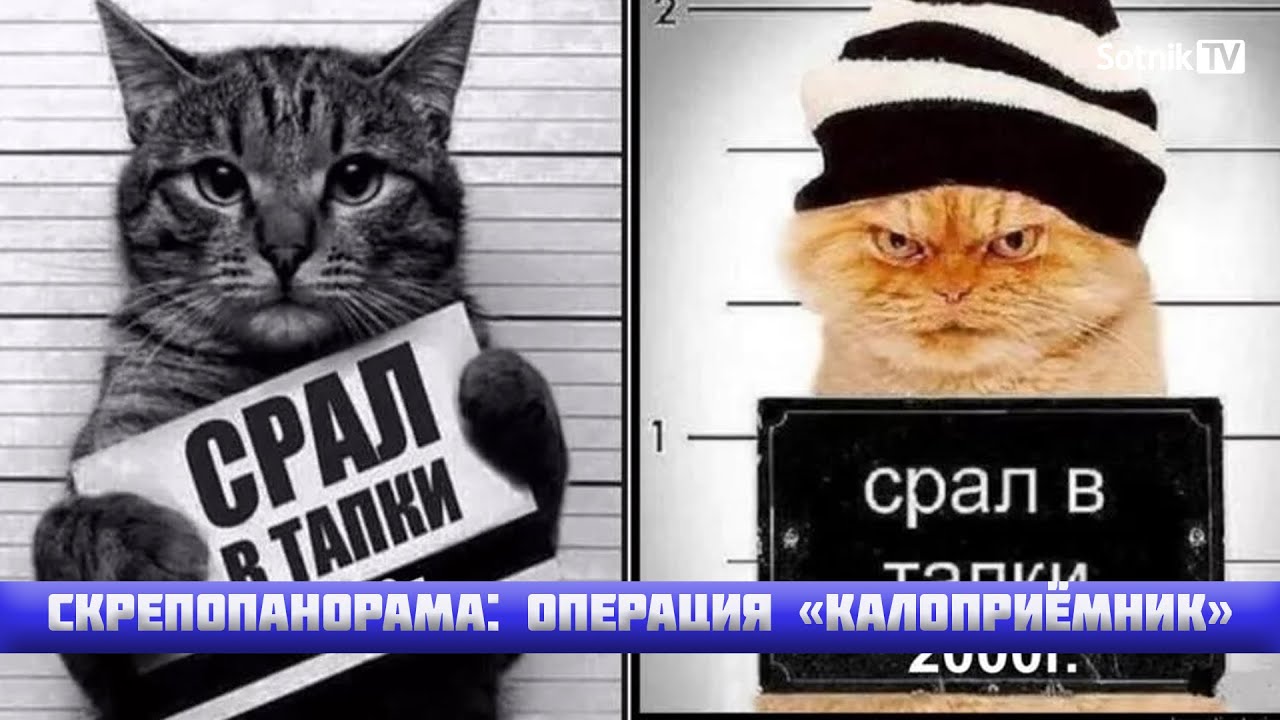 СКРЕПОПАНОРАМА: ОПЕРАЦИЯ «КАЛОПРИЁМНИК»