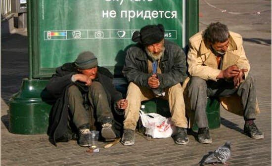 В Россию идёт голод. Доля импортных семян доходит до 99%