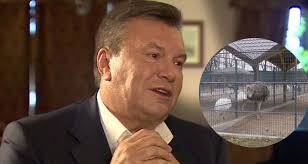 Попытки зайти в Киев провалились, Януковича можно возвращать в ростовский зоопарк