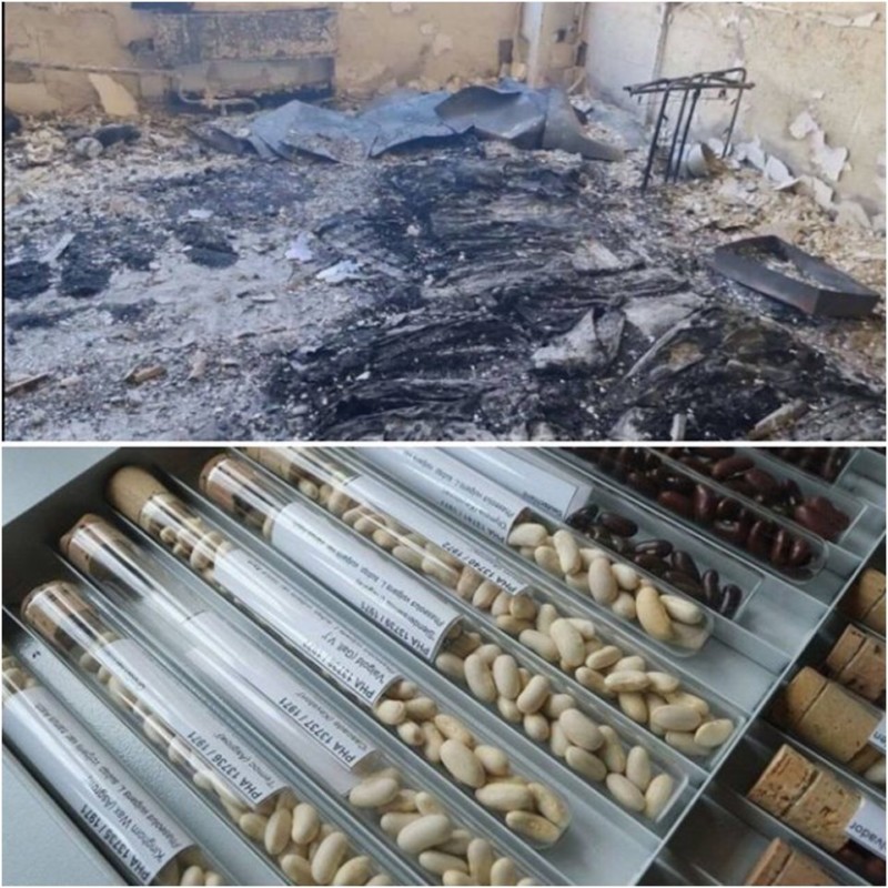 Это и есть «биолаборатория»?