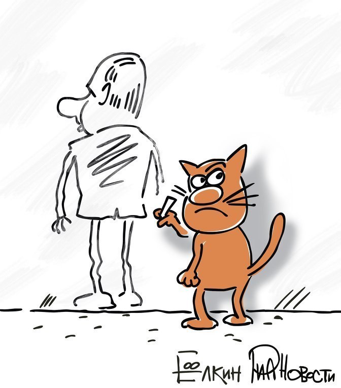 «И мне почему-то кажется, что это всё из-за Путина…»