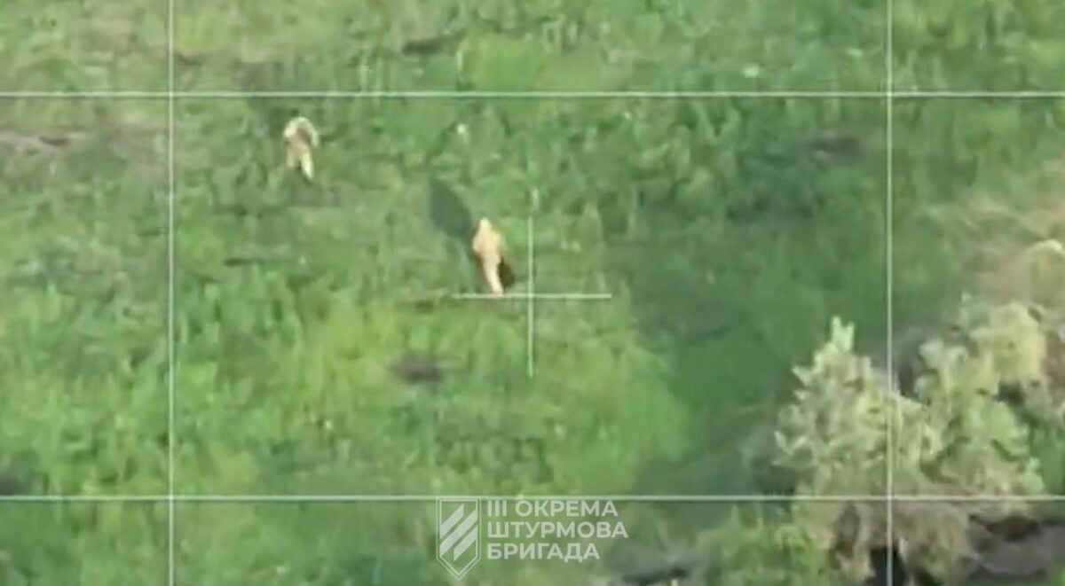 Бежали без штанов: Штурмовая бригада ВСУ показала, как россияне покидают позиции под Бахмутом