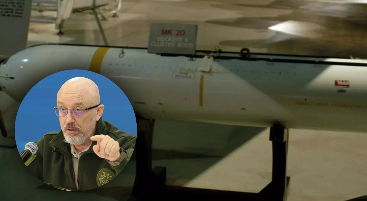 Резников назвал пять принципов использования ВСУ кассетных боеприпасов