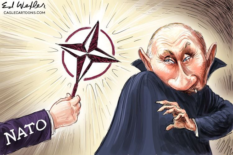Очередная «победа»