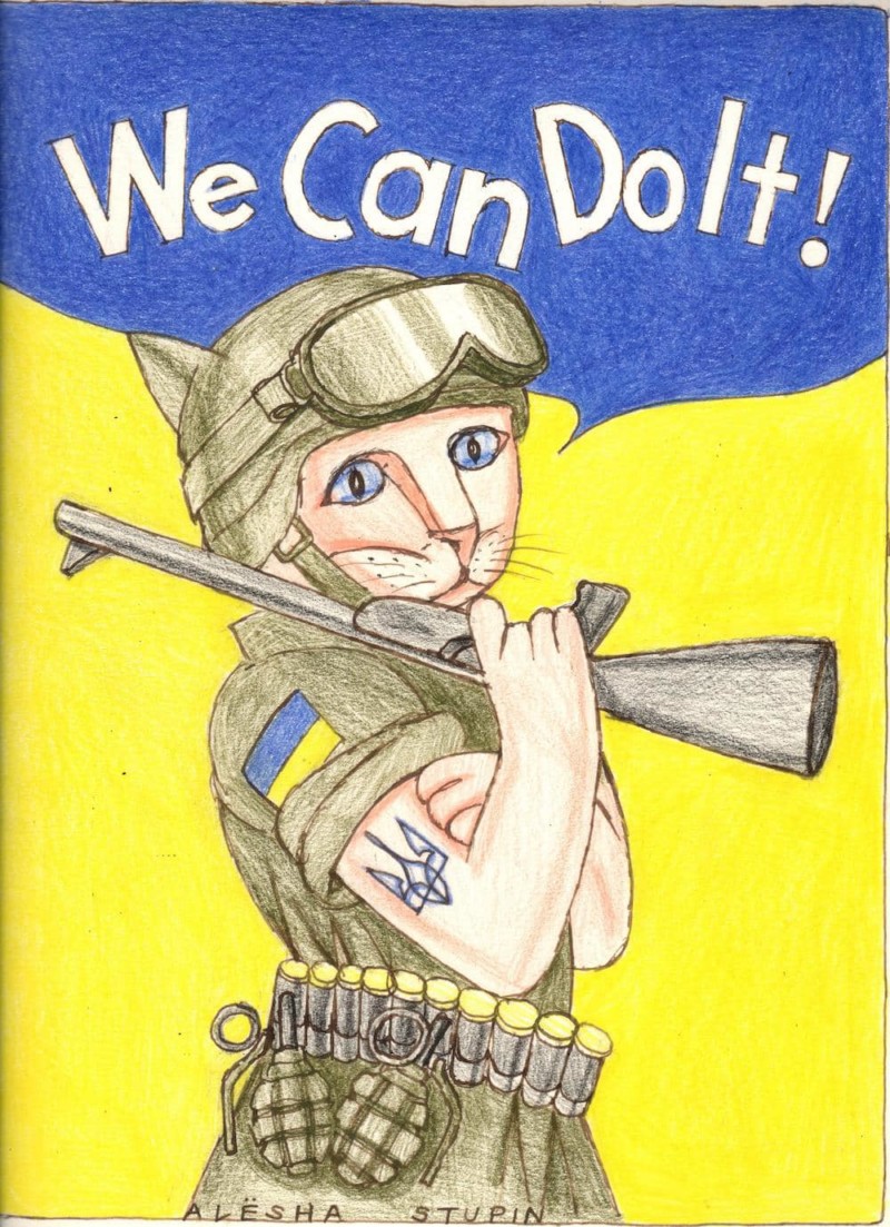 «Это явно не то, чего ждут наши военные…»