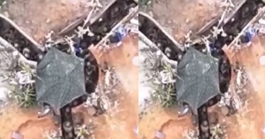 Два десятка северокорейцев в окопе задрали головы и смотрят, как на них падает боеприпас с украинского дрона