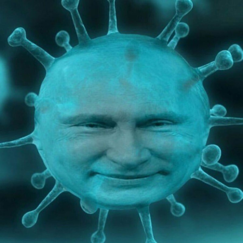 «Поражает только больной организм…»