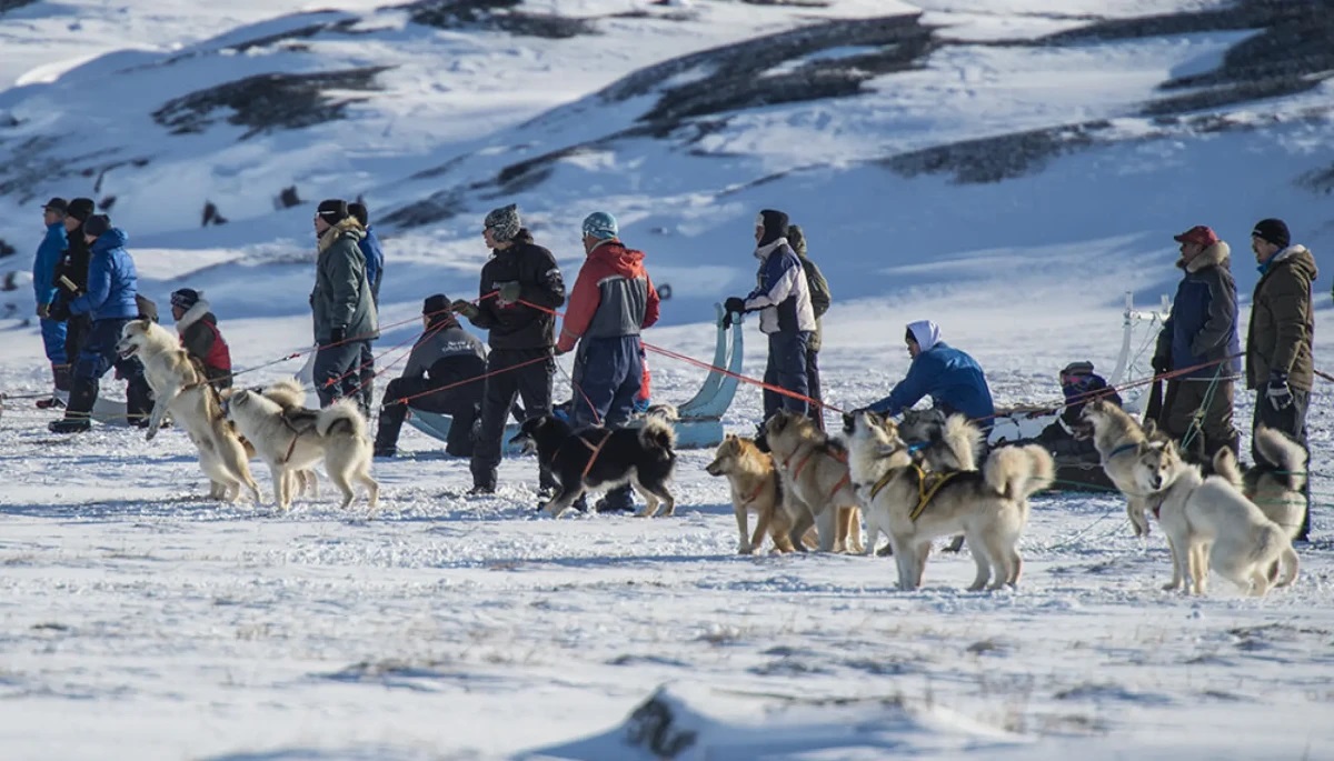 NYT: У Трампа разработали план захвата Гренландии