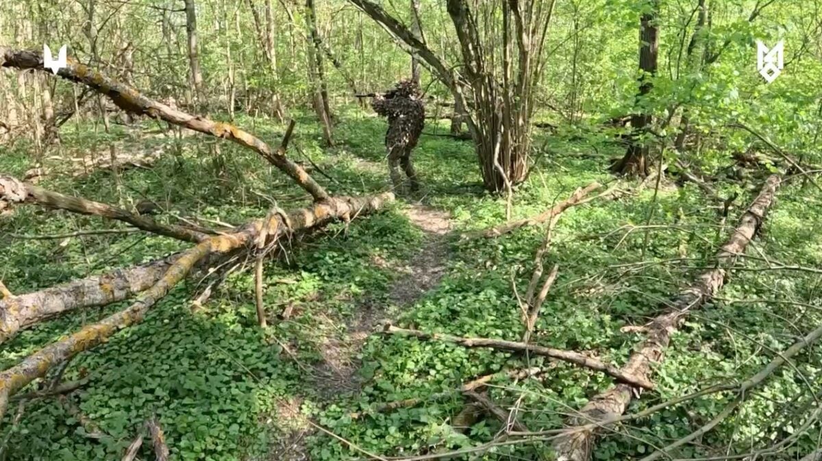 Бойцы ССО в тылу врага ликвидировали штурмовую группу россиян: видео