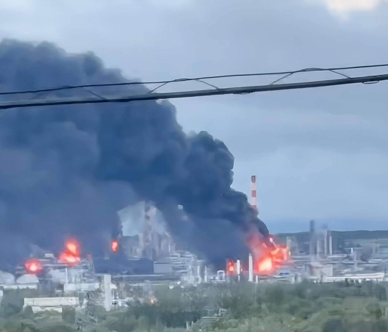 Про склады и оленей